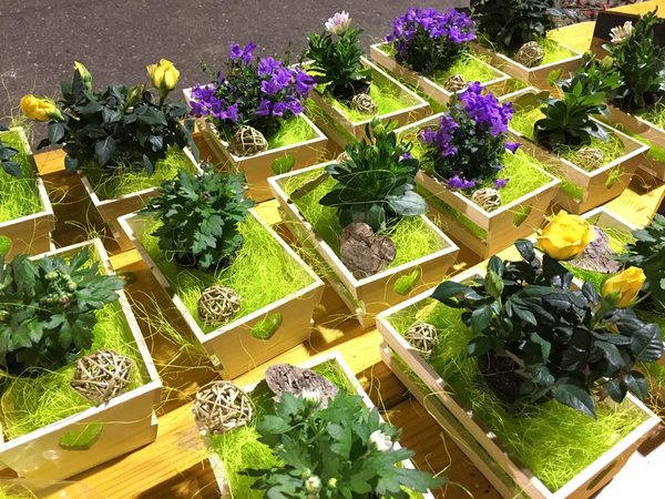 Ostertanz 2018 - Lj St.Veit