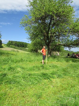 Sprengelsensenmähen der Lj Kaumberg