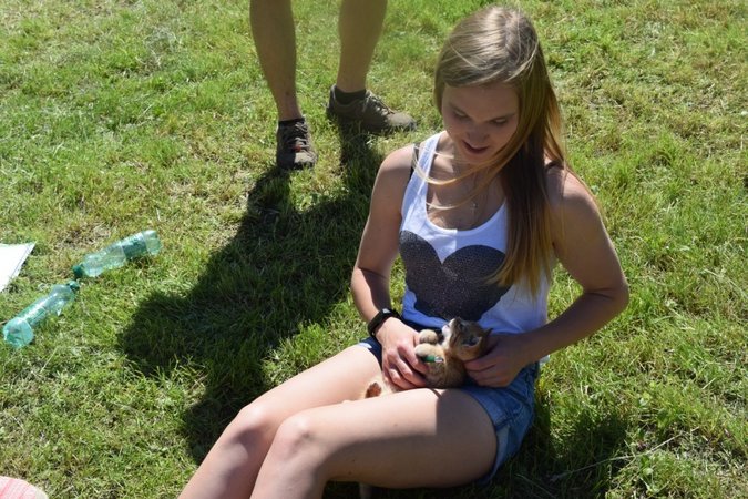 Sprenglsensenmähen - Lj Hainfeld