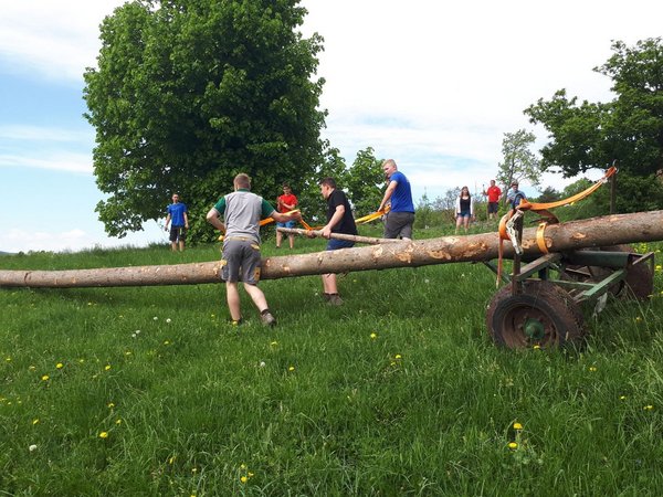 Wir holen unseren Baum - LJ Kaumberg