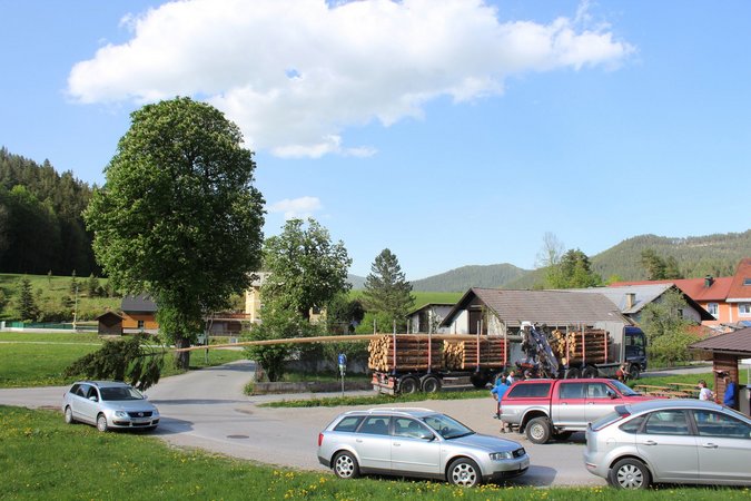 Maibaum aufstellen - LJ St.Aegyd/Hohenberg