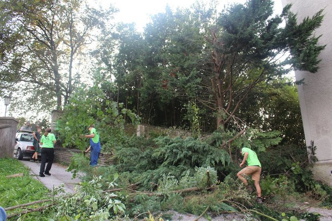 Projektmarathon - LJ Kaumberg