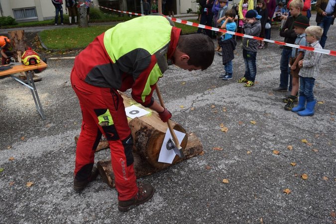 Bezirksentscheid Forst