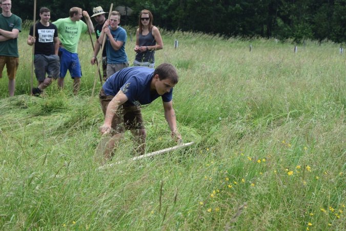 BZ Sensenmähen - LJ Hainfeld