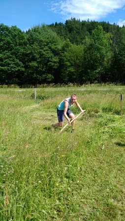 BZ-Sensenmähen - Lj Kleinzell